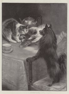 Interrotto da Fannie Moody
